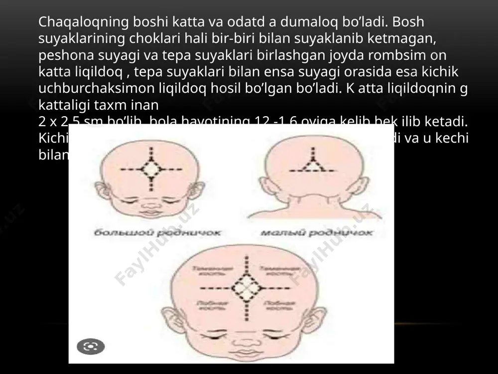 teri va uning muhim vazifalari - Page 5