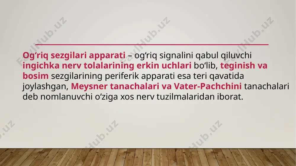 perseptiv timsollarning tashkil topishi: o‘rganish metodlari - Page 5
