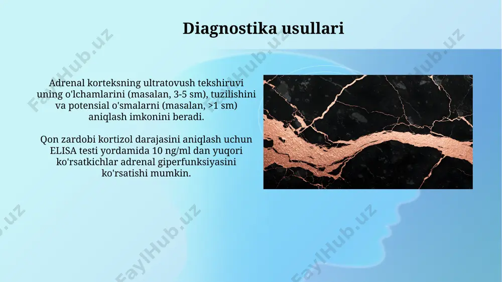 alligi), taxminan 100 000 kishidan 1-2 tasida uchraydi va mineralokortikoidlar va glyukokortikoidlarning etishmasligi bilan tavsiflanadi. buyrak usti korteksi o'smalari, adenoma va karsinoma shaklida, taxminan 5-10% hollarda aldosteron yoki kortizolning haddan tashqari sekretsiyasiga olib kelishi mumkin. glikokortikoidlar sintezi va sekretsiyasi acth gormoni, adrenal korteks hujayralaridagi 17α-gidroksilaza fermentini faollashtirib, glikokortikoidlar sintezini 2-3 barobar oshiradi. stress sharoitida, masalan, kasallik yoki jarohatlarda, glikokortikoidlar sekretsiyasi 5-10 barobar ko'payishi mumkin, bu esa organizmning stressga javobini kuchaytiradi. sog'lom chorva hayvonlarida korteksning xususiyatlari fasciculyar zona, korteksning eng katta qismini tashkil etib, asosan glyukokortikoidlar, jumladan kortizolning 80-90% ni sintezlaydi va chiqaradi. retikulyar zona androgenlar, masalan, dehidroepiandrosteron (dhea) kabi gormonlarni kamroq miqdorda, taxminan 5-10% ni ishlab chiqaradi. kasal hayvonlarda korteksning o'zgarishlari kasal sigirlarda adrenal korteksning gipoplaziyasi, uning hajmining 20-30% gacha kamayishi bilan tavsiflanadi va bu kortikosteroidlarning yetishmasligiga olib keladi. adrenal korteksning giperplaziyasi, ba'zi kasalliklarda, masalan, stress sharoitida 1.5-2 barobar kattalashishi mumkin va bu kortikosteroidlarning ortiqcha ishlab chiqarilishini ko'rsatadi. buyrak usti …