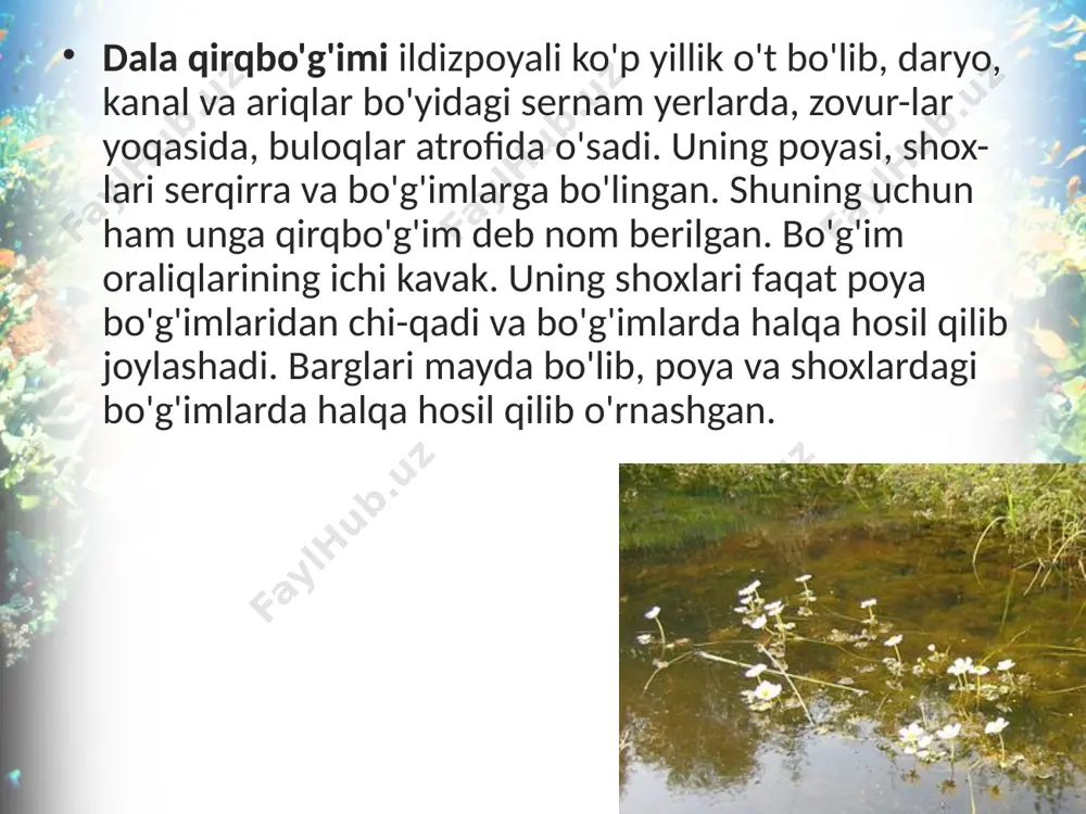 qirqbo'g'imlar bo'limi. 6 - sinf - Page 3