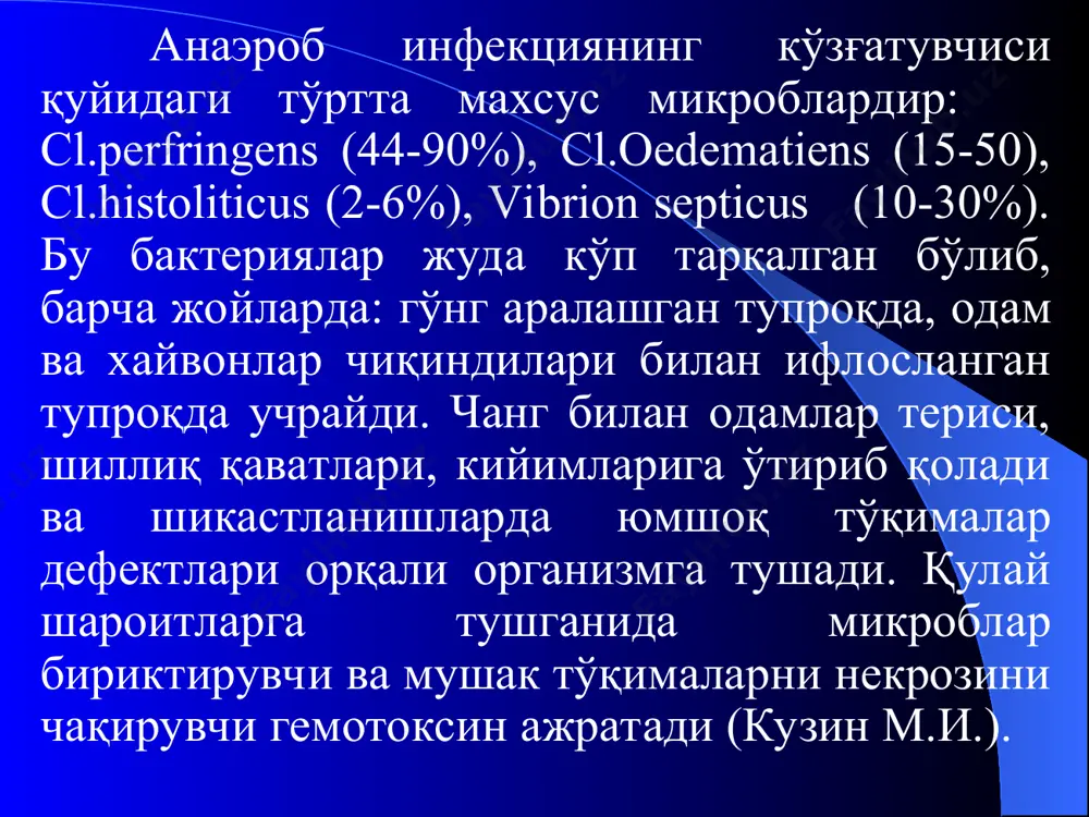 б тўртта босқич фарқланади: 1. газли флегмона билан чегараланадиган эрта босқич; 2. жараённинг авж олиш ёки тарқалган газли флегмона босқичи; 3. газли гангрена босқичи; 4. сепсис босқичи. эрта босқичларида беморлар оёқларидаги оғриққа ва боғламнинг торлигига шикоят қилади. бундай холатларда тезлик билан боғламни ечиб ташлаш зарур. бунда қуруқ, хаёт белгиларини йўқотган, усти кулранг, ифлос караш билан қопланган жарохат кўзга ташланади. беморларда енгилгина токсемия бегилари пайдо бўлади: бироз қўзғалиш, тана хароратининг пульс билан тўғри келмайдиган 37,5-38о гача ошиши кузатилади. анаэроб инфекциянинг эрта босқичида оёқнинг кўриниши иккинчи босқичда анаэроб флегмона жараёни тарқалишга интилади. бунда оғриқлар жарохат сохасидан оёқнинг юқори сегментларига тарқалади. агар жараён болдир сохасида бўлса жарохатдаги оғриқлар камаяди, лекин невротоксинларнинг нерв охирларига таъсири натижасида сон сохасида кучли оғриқлар пайдо бўлади. токсемия кучаяди: уйқусизлик пайдо бўлади, тери қопламлари сарғайиб, оғзи қурий бошлайди ва тилида караш пайдо бўлади. тана харорати 38-39о гача ошиб, томир уриши 1 дақиқада 120-130 гача етади. артериал қон босими пасаяди. …