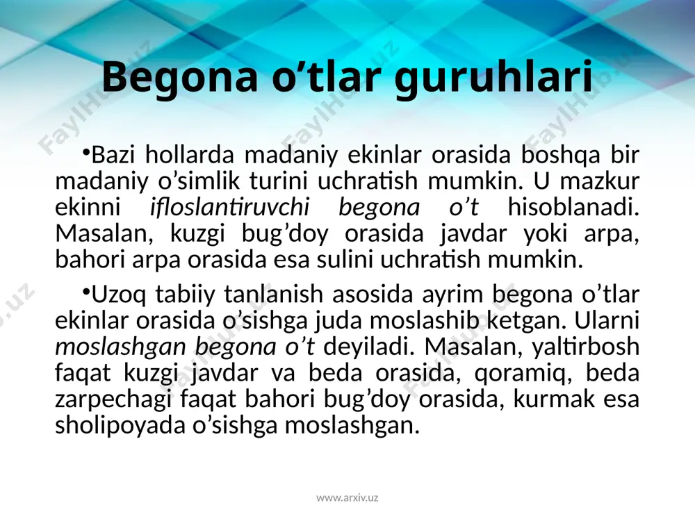 o’llash; yangi o’simlik navlarini yaratish. www.arxiv.uz begona o’tlarga qarshi biologik kurash qx ekinlarining almashlab ekilishi, begona o’tlarga qarshi qo’llaniladigan usul. ya’ni bunda ma’lum turga moslash begona o’tlarni yo’qotish uchun unga xos bo’lmagan ekin bilan u parazitlik qila oladigan o’simlikni almash ekish. begona o’tlarga qarshi kurashishda konditsion urug’larni qo’llash ham mumkin. bunda yaxshilab tayyorlab olingan va o’g’itlangan tuproqqa bir tekisda oldindan tayyorlab olingan konditsion urug’lar qo’llanisladi. agrotexnik jarayonda bunga to’g’ri yondashilsa, urug’lar keyinchalik bir tekisda qoplam hosil qilib begona o’tlarning rivojlanishiga yo’l qo’ymaydi. agarda bir tekisda emas, balki urug’lar notekis o’tqazilsa begona o’tlar tez o’sib ketib qx ekisnlarini nobud qiladi. www.arxiv.uz begona o’tlarga qarshi hasharotlar va boshqalarning qo’llanilishi begona o’tlarga qarshi kurashishda qo’llaniladigan usullardan biri bu ma’lum bir begona o’tning zararkunandasi yoki parazitini qo’llashdir. shumg’iyaga qarshi fitomiza pashshasi, pushti bo’ztikanga qarshi rjavchinnik (zamb.), qand lavlagi va kanopdagi zarpechakka qarshi alternarin (zamb.) lari qo’llaniladi. hasharotlardan bargxo’r chrysomelidae lichinkasidan bo‘ztikanga, krestguldoshlarga qarshi esa …