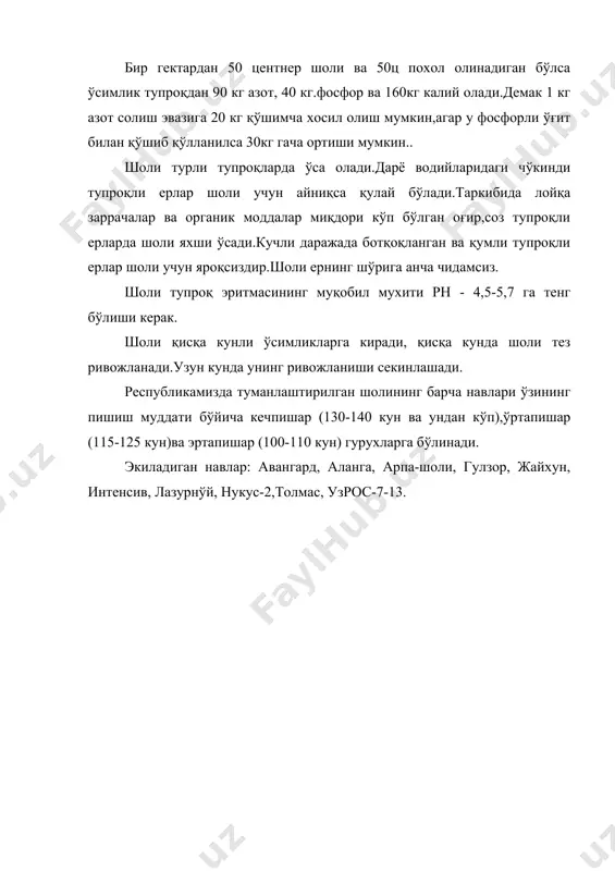 шоли экини - Page 4