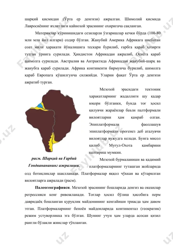 ропани, ғарбий ва шарқий сибирни қоплаб олади. гондвана ҳудудида денгиз энди шаклланаётган ҳинд океани томонидан босиб келади. расм. мезозоидларнинг ҳозирги структурада тутган ўрни. 1-параплатформалар: 1-кордильера, 2-верхоян-калим, 3-узоқ шарқ, 4-ҳиндихитой; 2- олдинги консолидация вилоятлари; 3-олд ботиқликлар: а-кордильераолди, б-верхоянолди; оралиқ массивлар – мезозоидлар орасидаги барқарор вилоятлар: а-колима, б-омолон, в-охота, г-шарқий чукотка, д-ҳиндосиний; 5-муғул-охота қамбари. иқлими. мезозой эрасида иқлим нисбатан илиқ бўлган. гондванада кечки палеозойда мавжуд бўлган музликлар эриб кетади. триас иқлими қурғоқчил бўлган давр ҳисобланади. саҳролар ва яримсаҳролар европа ва шимолий американи эгаллаб олган. сибир ва ҳиндихитой ҳудудларида эса нам тропик ва субтропик иқлим устуворлик қилган. денгиз трансгрессияси ривожланиши туфайли иқлим шароитлари юмшоқлашиб боради. юрада анча ҳудудларда, эҳтимол, илиқ ва нам иқлим шароитлари устуворлик қилган. ҳатто ҳозирги арктикада ҳам иқлим илиқ бўлган. ҳозирги буюк британия ва дания ҳудудларида сувнинг ҳарорати эрта юрада +21с га, кечки юрада эса +28с гача етган. ҳарорат тўғрисидаги бундай аниқ маълумотлар моллюскалар чиғаноқларидаги кислород изотоплари нисбати бўйича аниқланган. …