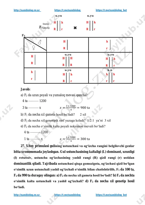 nlar bitta xromosomada joylashgan. gul ustunchasining kaltaligi (l) dominant, uzunligi (l) retsessiv, ustuncha og‘izchasining yashil rangi (r) qizil rangi (r) ustidan dominantlik qiladi. tajribada ustunchasi qisqa gomozigota, og‘izchasi qizil bo‘lgan o‘simlik uzun ustunchali yashil og‘izchali o‘simlik bilan chatishtirilib, f1 da 100 ta, f2 da 990 ta duragay olingan: a) f2 da necha xil gameta hosil bo‘ladi? b) f2 da nechta o‘simlik kalta ustunchali va yashil og‘izchali? d) f2 da necha xil genotip hosil bo‘ladi. h h r r h h r r http://nambiolog.zn.uz/ https://t.me/nambiolog https://t.me/nambiolog http://nambiolog.zn.uz/ https://t.me/nambiolog https://t.me/nambiolog http://nambiolog.zn.uz https://t.me/nambiolog https://t.me/nambiolog_bot http://nambiolog.zn.uz https://t.me/nambiolog https://t.me/nambiolog_bot yechilishi l - gul ustunchasining kaltaligi l - gul ustunchasining uzunligi r - ustuncha og‘izchasining yashil rangi r - ustuncha og‘izchasining qizil rangi k.q u.ya fenotip pgenotip gameta k.ya f1 k.ya k.ya fenotip f1 genotip f2 ♂ ♀ l r l r l r k.q l l r r k.ya l l r r l r …
