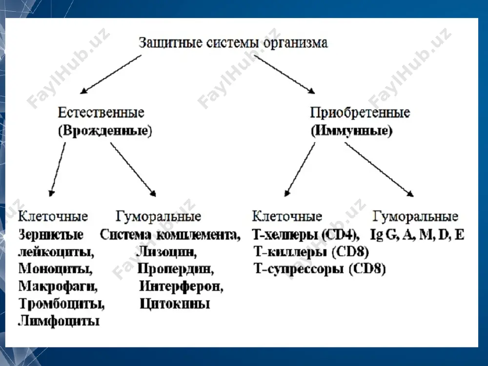 биринчи 3 таси зудлик билан юқори сезувчанлик турига алоқадор). ( зудлик билан юқори сезувчанлик тури – гуморал иммунитет бузилиши (збюс); секинлик билан юқори сезувчанлик тури – ҳужайра иммун тизим бузилиши (сбюс) морфологик иммун тизимга алоқадор органлар гиперплазияси ва маҳаллий ҳужайравий инфильтратлар ҳосил бўлиши билан намоён бўлади. 1. ўта сезувчанлик реакцияси. i тур – анафилаксия реакцияси (атопиялар), кўп таъсирларга жавобан пайдо бўлади. ҳатто кичик таъсирлар (чанг, ўсимлик чанги ва б.). маҳаллий ва системали анафилаксияларга бўлинади. системалиси вена ичига антиген юборганда кузатилади. (гормон, фермент, полисахаридлар, доривор моддалар) 1. ўта сезувчанлик реакцияси. маҳаллийга мисол: крапивница, аллергик ринит, конъюнктивит, бронхиал астма, озиқ-овқатдан аллергия. 1. ўта сезувчанлик реакцияси. ривожланиш фазалари i фаза –5-30 мин.дан кейин бирламчи медиаторлар ажралишига боглик. 1. биогенные амины (гистамин, аденозин) 2. медиаторы хемотаксиса (эозинофилов, нейтрофилов, базофилов) 3. ферменты (хиназа, триптаза, гидролазы) 4. протеогликаны (гепарин) эффектлари: увеличение проницаемости сосудов, отек, спазм гладкой мускулатуры (бронхоспазм), увеличение секреции желез ii фаза –2-8 соатдан кейинбошланиб, …