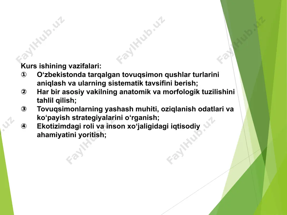 ydi. modasi kulrangsargʻish. oddiy qirgʻovulning 30 ga yaqin kenja turi mavjud. kavkazdan yaponiyagacha boʻlgan joylarda tarqalgan. oʻrta osiyoda kaspiyning jan.-sharqiy qismidan issiqkoʻlgacha boʻlgan hududlarda uchraydi. zarafshon bu yurtmaxonasi, shuningdek, ovchilik xoʻjaliklarida qirgʻovllar koʻp. oʻrmon hamda ekin maydonlari atrofidagi, daryo va koʻl qirgʻogʻidagi chakalakzor toʻqaylarda yashaydi. uyasini yerga yasaydi. 8—18 ta tuxum qoʻyib, 24— 25 kun bosadi. urugʻ, meva, kurtak, hasharot, chuvalchang va mollyuskalar bilan oziqlanadi. goʻshti va pari uchun ovlanadi. qirgʻovullar. koʻpgina ovchilik xoʻjaliklarida koʻpaytiriladi. koʻplab ovlangani sababli joylarda qirgʻovullar soni kamayib ketgan. biroq qirgʻovullarga sharoit yaratilsa, sonini tez tiklash xususiyatiga ega. yaponiyada yashil qirgʻovul tarqalgan.oʻzbekistonda qirgʻovullarni 7ta turi uchraydi. bedanalar- qirgʻovullar oilasining eng kichik vakili boʻlib, ogʻirligi 80-120gr . bedanalar oʻt -oʻlanlar orasiga 12-15tagacha baʼzan 24tagacha tuxum qoʻyadi va 21kun bosib yotadi.oʻsimlik ozuqalari va mayda umurtqasiz hayvonlar bilan oziqlanadi. qirgʻovullar oilasida faqat bedanalar uchib ketuvchi qushlar boʻlib, hindiston, afrika , janubiy kavkazda qishlaydi. qurlar oilasi- oʻrta mintaqalarda, ninabargli oʻrmonlarda, …