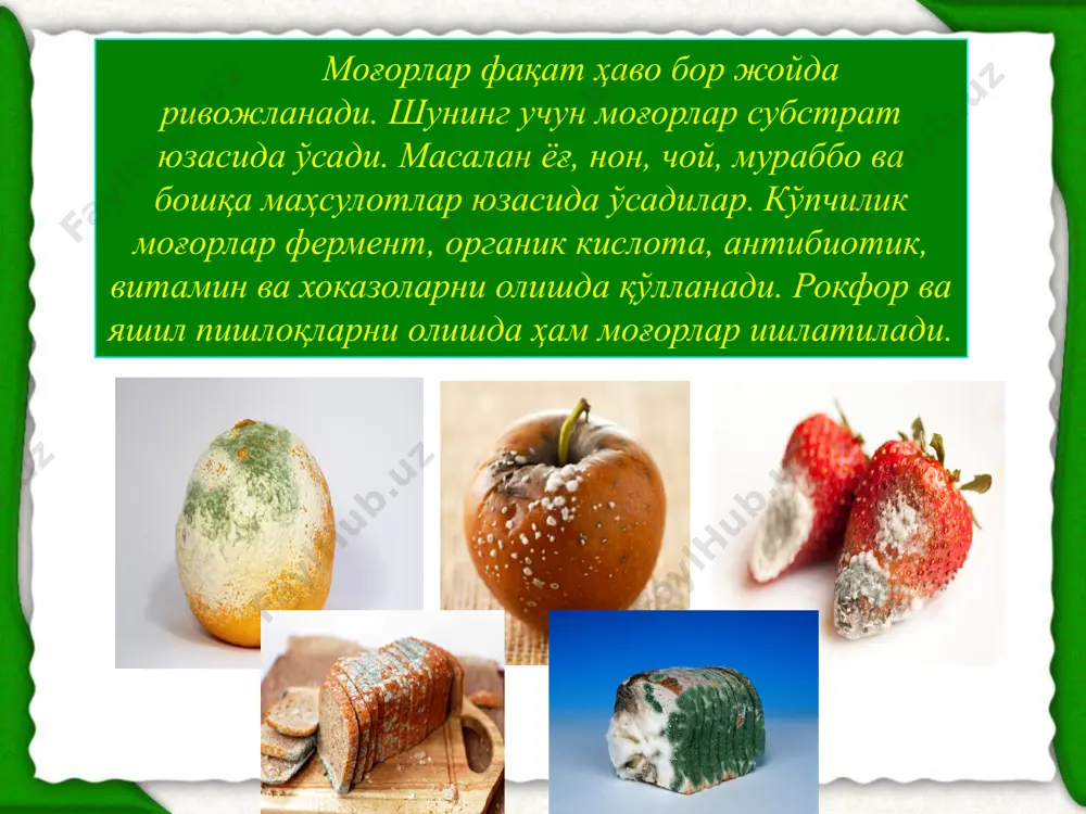 моғор замбуруғлари, дрожжа ва вируслар - Page 4