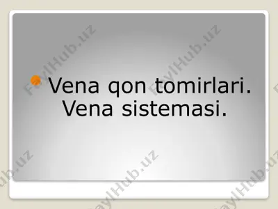 venaqontomirlari — PPTX