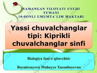 yassi chuvalchanglar tipi: kiprikli chuvalchanglar sinfi — PPT