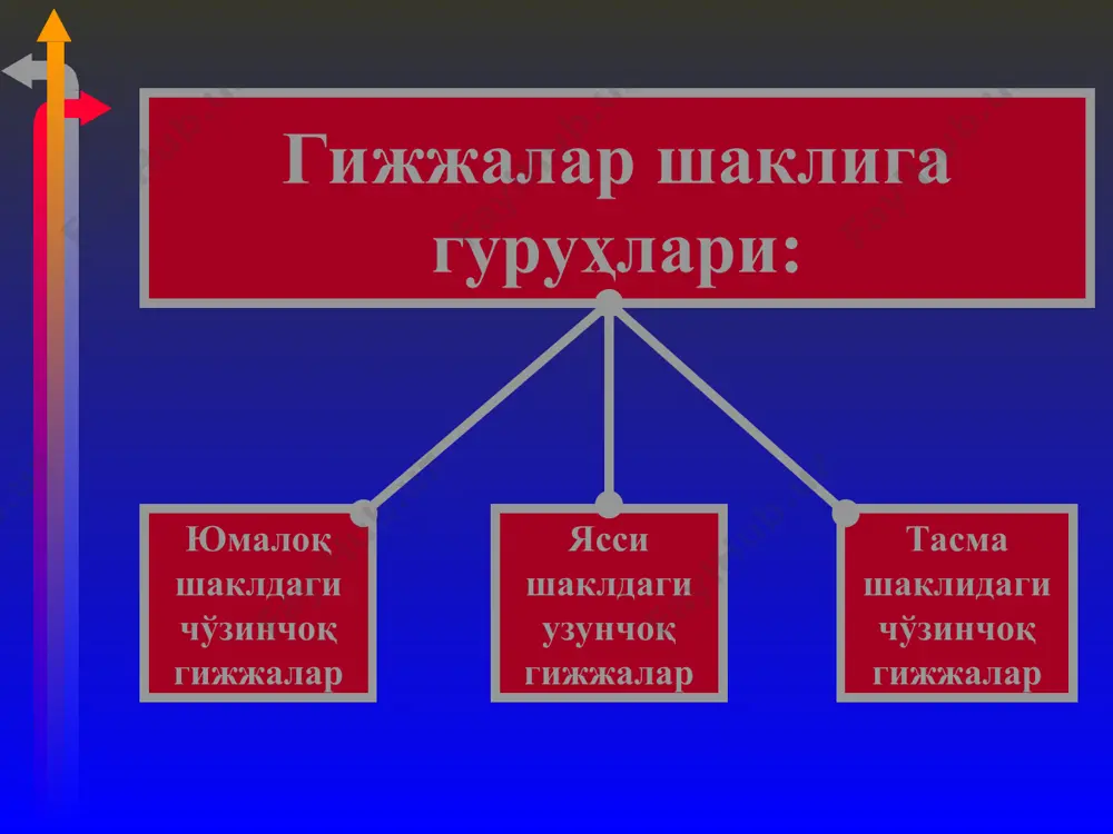 келиб, бронхоспазм ва ичак дисфункцияларини кучайтириши мумкин. психоген таъсир. беморларда невротик ҳолатни юзага келиши: болаларда энтерибиозда оралиқ қичишлари, тениаринхозда гижжа бўлакчаларини фаол чиқиши руҳий азобланишга олиб келади. иммуносупрессив таъсир. аскаридоз айниқса описторхозда плазматик ҳужайралар фаоллиги ўзгариши натижасида антителолар синтези бузилади, трихинелла личинкалари т- киллерларни ҳосил бўлишини сусайтирса, шистосомоз ва филяриатозларда т- супрессорлар фаоллиги кескин ошиши кузатилади. юмалок шаклдаги чузинчок гижжалар. острица эркаги.2-5 мм ургочиси. 9-12 мм бир кунда 5000-15000 тухум куяди. энтеробиоз – ҳаёт цикли энтеробиоз – ҳаёт цикли уйқусида тиш қайраши бош оғриғи, бош айланиши қусиш, ич кетиши қўнгил айниши қоринда оғриқ жойида сийиб қўйиши орқа чиқарув тешиги атрофида қичиш ҳушидан кетиши тутқаноқ тутиши хотира пасайиши энтеробиоз клиникаси аскарида. узунлиги эркаги 15-25 см ургочиси 24-44 см бир суткада 200000 тухум куяди. аскаридоз − ascaris lumbricoides – ҳаёт цикли аскарида билан тулган тугри ичак куриниши аскаридоз − ascaris lumbricoides аскаридоз клиникаси қон тупириш кувват-сизлик баъзан иситмалаш терида тошмалар бўлиши ҳансираб …