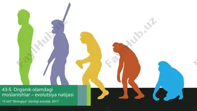 organik olamdagi moslanishlar – evolutsiya natijasi. 10 - sinf — PPTX