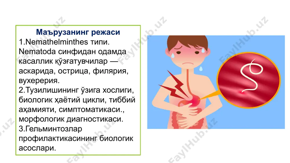 ин кислород зарур. ташқи муҳит ҳарорати оптимал 24—25 °с бўлганида улар инвазион етукликка тахминан 24 кун ичида етади. аскариданинг инвазион тухумлари асосан ювилмаган сабзавотлар, резавор мевалар орқали ютилади. одам ичагида тухумларидан личинкалар чиқади ва одам организмида миграция қилади: веналар - жигар - юрак - ўпка - ҳалқум – қизилўнгач – ошқозон - ичак. миграция икки ҳафта давом этади. миграция тараққиётнинг кейинги босқичи учун зарур. миграция учун кислород керак. иккинчи марта одам ичагига тушган аскарида личинкаси 2-3 ойдан кейин вояга етади. урғочи аскарида суткасига 240 мингтагача тухум чиқаради. бир йил атрофида яшайди. аскаридалар ўз хўжайини ҳазм қилган озуқа билан озиқланади, шунингдек одам ичаги шиллиқ пардаси билан ҳам озиқланиши мумкин деган маълумотлар бор. беморда боши оғриғи, айланиши дармонсизлик, серзардалик , иш қобилияти ва хотиранинг сусайиши кузатилади. личинкаларнинг ўпка орқали тарқалиши сабабли бронхит ва аскаридозли пневмонияга олиб келади. вояга етган аскаридалар бошқа аъзоларда ҳам паразитлик қилади. аскаридалар ичакдан ўрмалаб ўт йўлига ва шу …