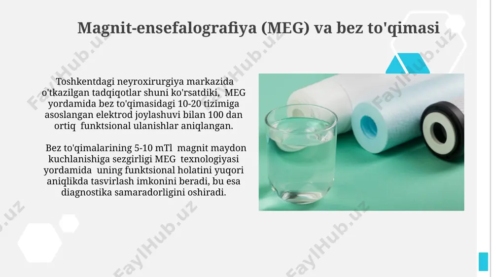 funksional tinch holat bez to'qimasining elektrofizologiyasi - Page 4