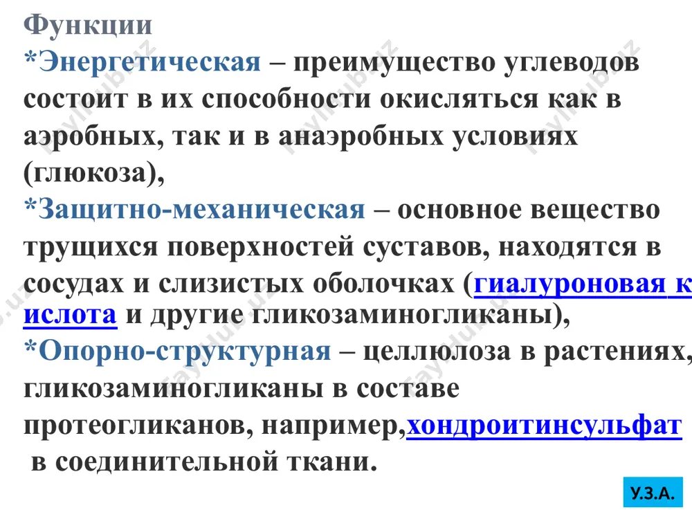 ется наиболее распространенным органическим соединением биосферы. около половины всего углерода земли находится в ее составе. в отличие от предыдущих полисахаридов она является внеклеточной молекулой, имеет волокнистую структуру и абсолютно нерастворима в воде. у.з.а. строение целлюлозы у.з.а. гетерополисахариды большинство гетерополисахаридов характеризуется наличием повторяющихся дисахаридных остатков. эти дисахариды включают в себя уроновую кислоту и аминосахар. дублируясь, они образуют олиго- и полисахаридные цепи – гликаны. в биохимии используются синонимы – кислые гетерополисахариды (так как имеют много кислотных групп), гликозаминогликаны (производные глюкозы, содержат аминогруппы). у.з.а. гликозаминогликаны входят в состав протеогликанов(мукополисахаридов) – сложных белков, функцией которых является заполнение межклеточного пространства и удержание здесь воды, что обеспечивает тургор тканей и эластичность хрящей, также они выступают как смазочный и структурный компонент суставов, хрящей, кожи. в частности, гиалуроновая кислота находится в стекловидном теле глаза, в синовиальной жидкости, в межклеточном пространстве. у.з.а. основными представителями гетерополисахаридов (гликозаминогликанов) являются гиалуроновая кислота, хондроитинсульфаты, кератансульфаты и дерматансульфаты, гепарин. у.з.а. строение гиалуроновой и хондроитинсерной …