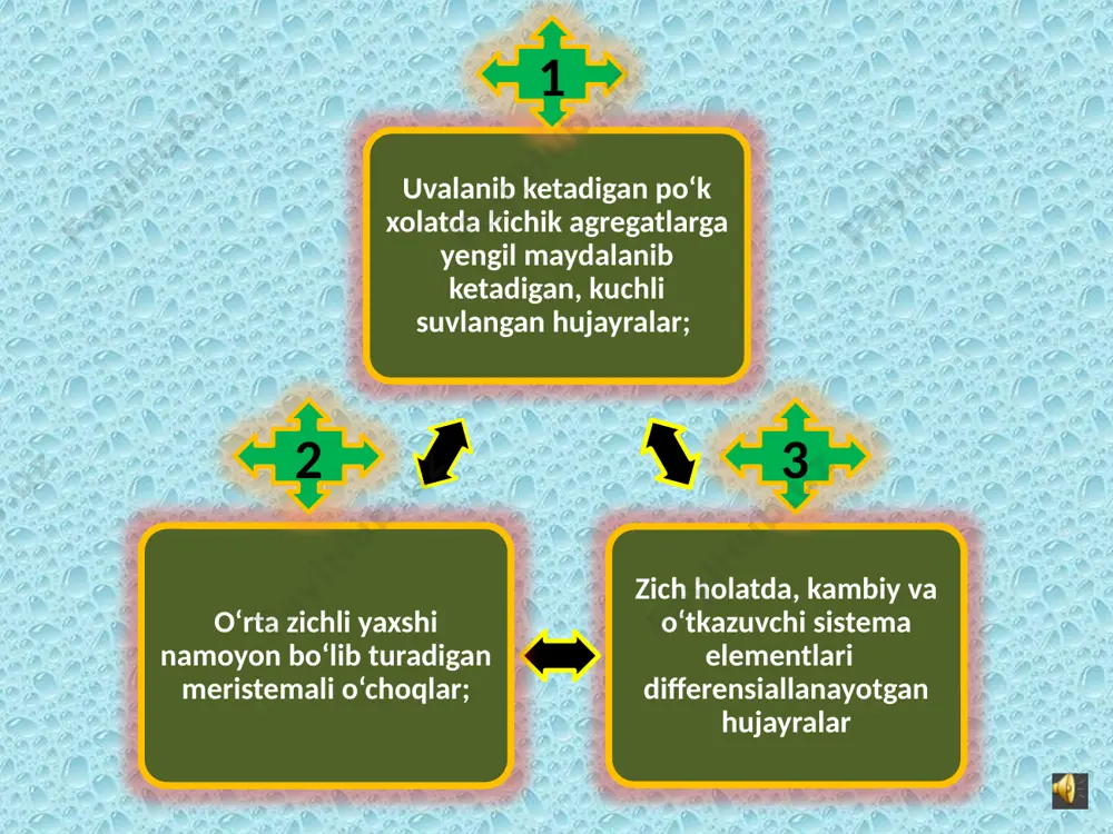 kalluskulturasi - Page 5