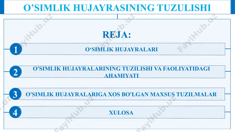 birliklari bo'lib, ularning o'sishi, rivojlanishi va yashashi uchun zarurdir. bu yerda qisqacha ma’lumot: 1. hujayra devori: oʻsimlik hujayralari asosan tsellyulozadan tashkil topgan qattiq hujayra devori bilan oʻralgan. bu devor tizimli qo'llab-quvvatlash va himoyani ta'minlaydi, o'simliklar shaklini saqlab qolishga va atrof-muhit bosimiga bardosh berishga yordam beradi. 2. hujayra membranasi: hujayra devorining ichida hujayra membranasi yoki plazma membranasi joylashgan bo‘lib, u molekulalarning hujayra ichiga va tashqarisiga o‘tishini tartibga soladi. u ozuqa moddalari, suv va chiqindilarning harakatini nazorat qiladi, hujayra gomeostazini saqlaydi. 3. sitoplazma: sitoplazma hujayraning ichki qismini to'ldiradigan jelga o'xshash moddadir. u turli organellalarni o'z ichiga oladi va hujayra jarayonlari uchun vosita bo'lib xizmat qiladi. o‘simlik hujayralari 4. yadro: o'simlik hujayralarida hujayraning genetik materiali (dnk) joylashgan yadro mavjud. yadro hujayra faoliyatini nazorat qiladi va hujayra o'sishi, rivojlanishi va ko'payishi uchun ko'rsatmalarni o'z ichiga oladi. 5. organellalar: o'simlik hujayralarida bir nechta maxsus organellalar mavjud, jumladan: - xloroplastlar: fotosintez uchun javob beradi, quyosh nurini …