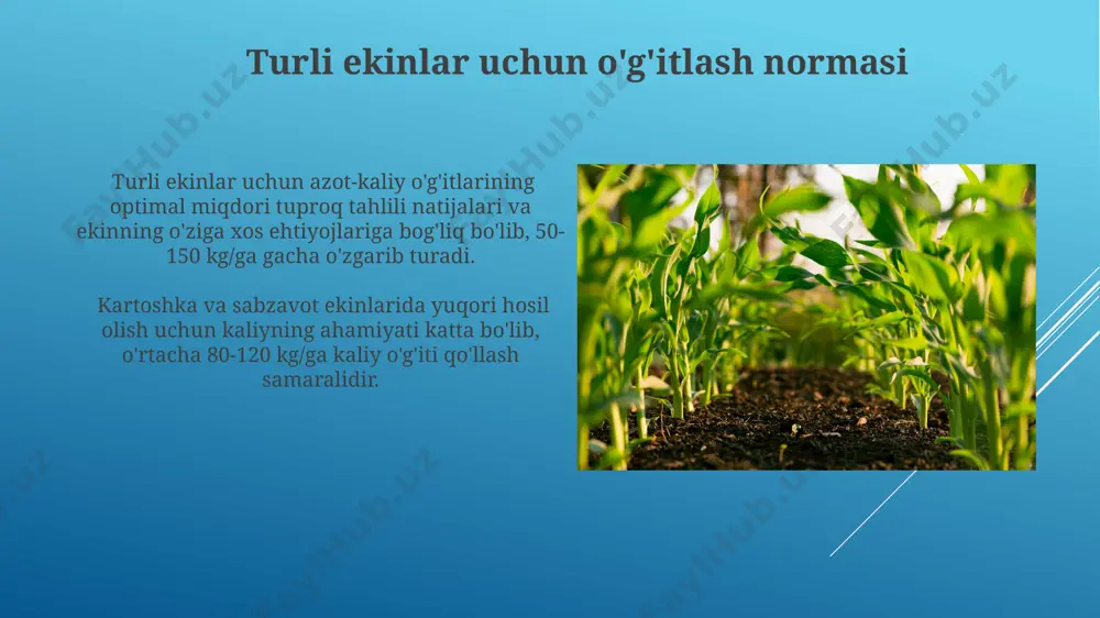 iz uchun rahmat @taqdimot_robot image1.jpg image2.jpg image3.jpg image4.jpg image5.jpg image6.jpg image7.jpg image8.jpg image9.jpg