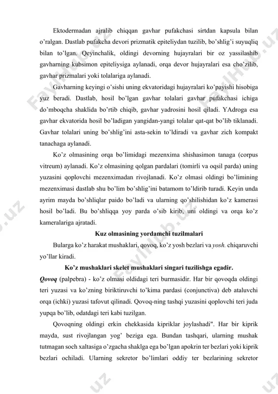 oq devorining oldingi qismida, biriktiruvchi to’qima qatlamida maxsus yog’ bezlari yotadi. bu bez uzun chiqaruv yo’lidan iborat bo’lib, unga har tomondan sekretor al’veolalar ochiladi. qovoqning ichki yuzasi yoki kon’yunktiva ko’p qavatli yassi epiteliy bilan qoplangan. epiteliy ostida yumshoq biriktiruvchi to’qimadan tuzilgan xususiy qatlam yotadi. bu erda ko’p miqdorda limfotcitlar va makrofaglar bo’lib, ular ba’zan to’p-to’p bo’lib joylashadi. kon’yunktivaning yuqori qismida kichik bezlar uchraydi. ularning tuzilishi yosh beziga o’xshash va shu sababli qo’shimcha yosh bezlari deb ataladi. ko’z yosh apparati - yosh bezlari, yosh qopchasi va ko’z-burun yosh yo’lidan iborat. yosh bezlari (gl. lacrimalis) bir necha seroz tipdagi murakkab al’veolyar - naysimon bezchalar guruhidan iborat. oxirgi bo’limlarining tuzilishi bo’yicha ular og’iz bo’shlig’ining seroz bezlarini eslatadi, ammo uning chiqaruv yo’llarida so’lak naychalariga muvofiq keluvchi qismlar bo’lmaydi. sekretor bo’limlar-ning bo’shlig’i yaxshi rivojlangan, bularda hujayralararo sek-retor kanalchalar kuzatiladi. sekretor oxirgi bo’limlarining devori seroz bezlar epiteliysiga o’xshash hujayralardan tuzil-gan. ularning ostida, bazal membranada mioepitelial hujayra-lar …