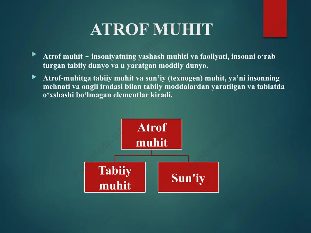ekologiya va atrof – muhitni muho­fa­za qilish - Page 4