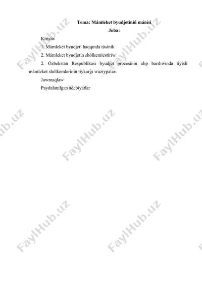 mámleket byudjetiniń mánisi — DOCX