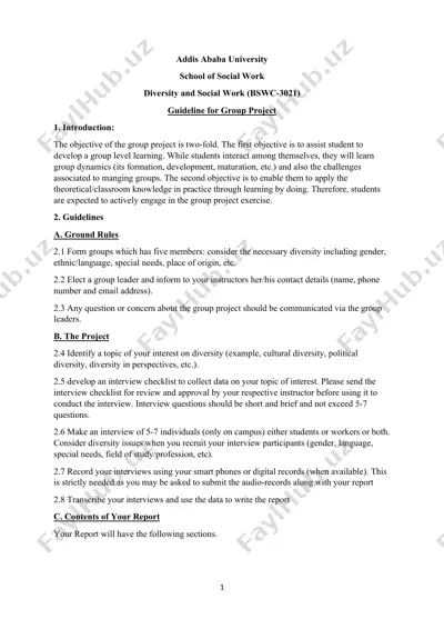 diversity and social work (bswc-3021) group project guideline — DOCX