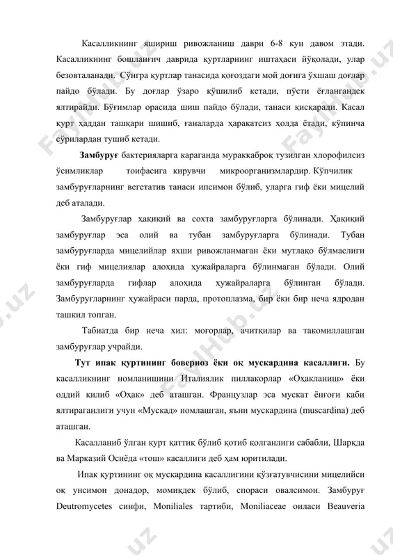 екцион гифалари қуртнинг гемолимфасига қараб у ўзининг ривожланишини бошлайди ва куртакланиб кўпаяди. 36-48 соатдан сўнг қуртнинг гемолимфаси замбуруғнинг гифалари билан тўлади. касалланган қурт харакатдан қолади, бу гифалар ўсиб тармоқланиб, мицелийни ҳосил қилади. маълумки, гемолимфа паразит замбуруғларни ривожланиши учун энг қулай муҳит ҳисобланиб, бу муҳитда замбуруғ тезда қоннинг таркибини бузади. мускардина касаллиги кўпинча ипак қуртининг қуртлик стадиясини касаллантиради. касалликнинг кўзга ташланиши (агар касаллик оммавий тус олган бўлса) қуртнинг учинчи ёшида кузатилади. касалланган қуртларда иштаха бузилади, чарчоқ, хорғин бўлиб, аста-секин харакати сусаяди, қуртнинг танаси хиралашади, танасидаги сувнинг миқдори тезда камаяди. қуртнинг массаси кичиклашиб пулалашади. танасининг босилган жойи чуқурча ҳосил бўлади, танада қорамтир ҳар хил катталикда доғлар ҳосил бўлади. бундай доғлар кўпроқ нафас тешикчаларининг атрофида, ёлғон оёқларининг асосларида кўпроқ учрайди, айрим холларда ёлғон оёқларининг учлари қораяди. қуртнинг бош қисми билан кўкрак қисмининг биринчи бўғими оралиғида халқасимон ўзига хос доғ ҳосил бўлади. агарда касаллик пўст ташлаш даврига тўғри келса, пўст ташлаш анча қийин бўлади, …