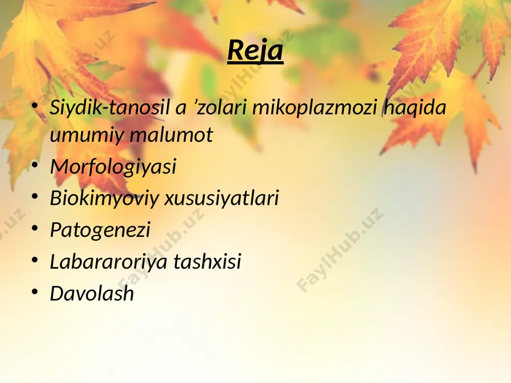 rit, ayollar siydik-tanosil a ’zolari quyi qismining yallig’lanishi. o'rtacha og'ir shakliga ayollarda kichik chanoq a’zolarining o'rtachao'tkir va surunkali yalig’la nishi, erkaklarda prostatit, orxoepididimit, vezikulit. og'ir shakliga esa abort va tug'ruqdan keyingi kichik chanoq a’zolaridagi kuchayib boradigan o‘zgarishlar kiradi. kasallik muddatini aniqlash ikki oygacha yangi, keyin esa surunkali deb yuritiladi. laboratoriya tashxisi hozirgi vaqtda u. urealyticumni laboratoriyada patologik materiallardan aniqlash uchun, asosan, qoramol yuragi gidrolizati bilan kozein gidrolizatdan iborat v.v.delektorskiy va i.jalaganiya (1983-y.) muhiti ishlatiladi. o‘zbekistonda, asosan, quyon go'shti ekstraktidan tayyorlangan ≪ed-1≫ oziq muhitidan keng foydalaniladi (e.eshboyev, a.davurov muhiti, 2000-yil). davolash u.urealyticum ning penitsillin qatori preparatlari .ga chidamli ekanligi e’tiborga olinadi. asosan, eritromitsin, tetratsiklin, roksitromitsinlek va ftorxinolonlar buyuriladi. oldini olish tanosil kasalliklariga chalingan bemorlardagi kabi olib boriladi. e’tiborlaring uchun rahmat 👍😄 image2.jpeg image3.jpeg image4.jpeg image1.jpeg