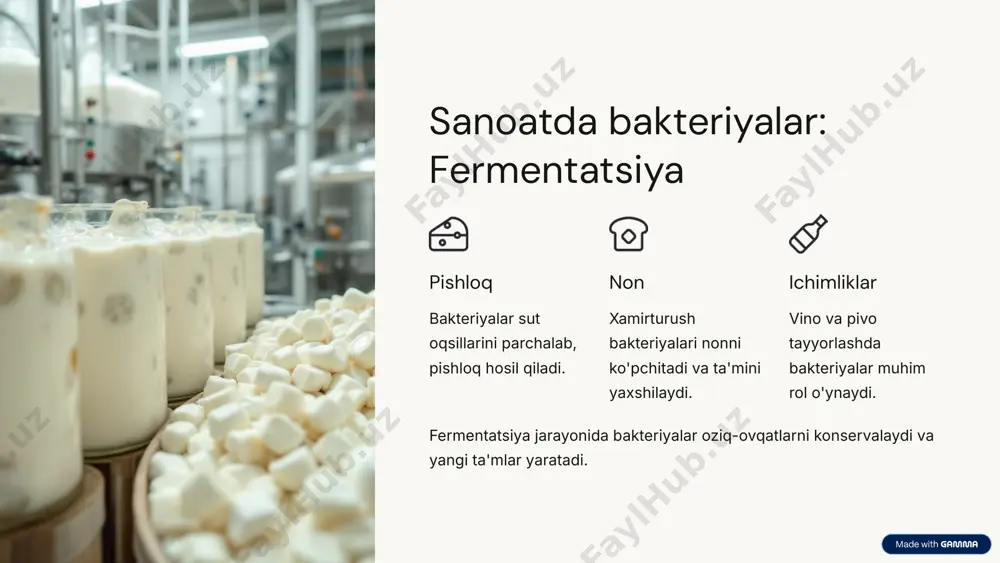 i. 5 qishloq xo'jaligida bakteriyalar: biologik kurash bt texnologiyasi bacillus thuringiensis (bt) bakteriyalari tabiiy insektitsid hisoblanadi. ular hasharotlarga qarshi kurashda katta samara beradi. ta'sir mexanizmi bt toksinlari faqat maqsadli zararkunandalarga ta'sir qiladi. ular foydali hasharotlarga zarar yetkazmaydi. ekologik foyda kimyoviy pestitsidlarga nisbatan atrof-muhitga zarar kam. bu esa ekologik toza mahsulot yetishtirish imkonini beradi. 6 qishloq xo'jaligida bakteriyalar: o'simliklarning o'sishini rag'batlantirish tezroq o'sish o'simliklar normal holatdan tezroq rivojlanadi gormonlar sintezi bakteriyalar o'simlik o'sish gormonlarini ishlab chiqaradi ozuqa moddalar o'zlashtirilishi tuproqdagi ozuqalar o'simliklar uchun qulay shaklga aylanadi o'simliklarning o'sishini rag'batlantiruvchi bakteriyalar qishloq xo'jaligida hosildorlikni oshirish uchun keng qo'llaniladi. 7 afzalliklari va kamchiliklari afzalliklari foydali mahsulotlar ishlab chiqarish ekologik toza texnologiyalar iqtisodiy samaradorlik kamchiliklari ba'zi bakteriyalar kasallik tarqatishi mumkin nazoratdan chiqish xavfi ba'zi hollarda samarasi kam bo'lishi muvozanatni saqlash bakteriyalarni to'g'ri boshqarish va foydalanish muhim. ilmiy asoslangan yondashuvlar zarur. 8 kelajakdagi tadqiqotlar yangi turlarni kashf etish olimlar hali o'rganilmagan bakteriya turlarini izlamoqda. bu …