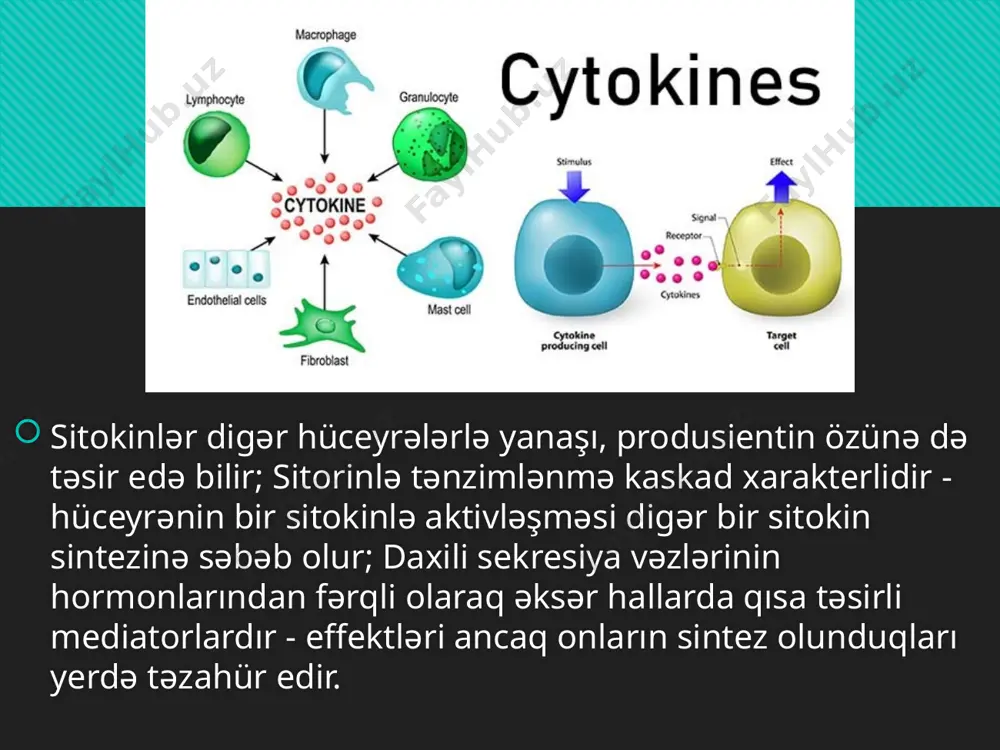 sitokinlər və onların fəaliyyəti - Page 5