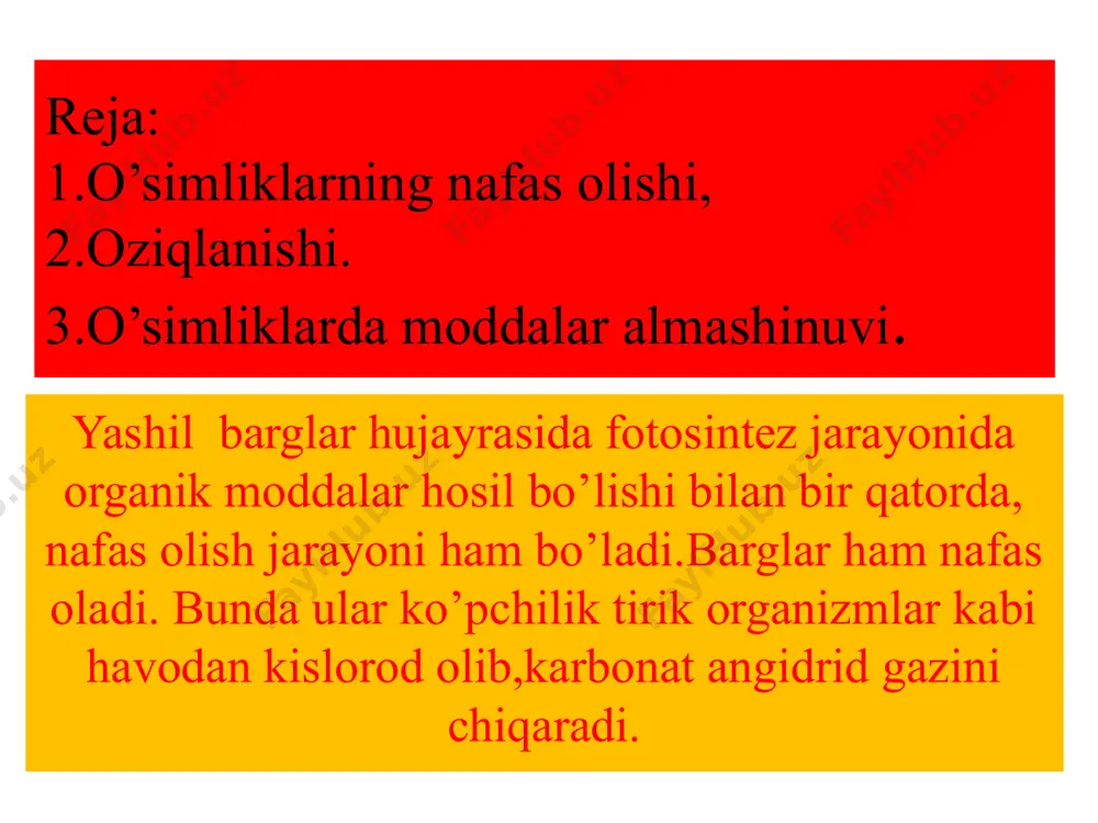 il qilishga sarflaydi.fotosintez jarayonida karbonat angidrid va suv ishtirokida yorug’lik energiyasi hisobiga shakar hosil bo’ladi.u esa o’z navbatida ,o’simlik to’qimalarida kraxmal,klechatkaga aylanadi yoki oqsillar,yog’lar,vitaminlar hosil bo’lishiga sarf bo’ladi. mustahkamlash. fotosintez va nafas olish jarayonlari bir-biri bilan bog’liq jarayondir. o’simlik to’qimalarida kechadigan modda va energiyaning o’zgarishi moddalar almshinuvi deyiladi.moddalar almashinuvi barcha tirik organizmlar kabi o’simliklarning ham muhim hususiyatlaridan biridir. hujayra organoidlarini toping. e’tiboringiz uchun katta rahmat image1.jpeg image2.jpeg image3.jpeg image4.jpeg image5.jpeg image6.jpeg image7.jpeg image8.jpeg image9.gif image10.gif image11.gif image12.gif /docprops/thumbnail.jpeg