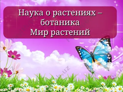 наука о растениях – ботаника — PPT