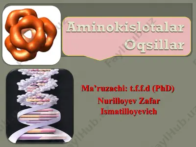 aminokislota — PPT
