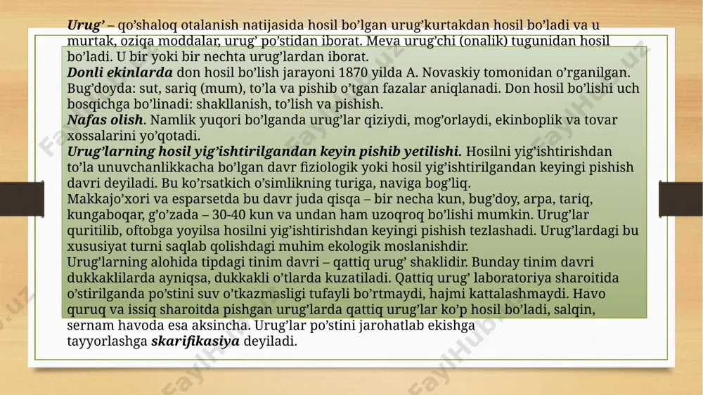 ollardagina umu­miy ekin­zorlarga ekish uchun ruxsat etilishi mumkin. o’zbekistonda urug’lik sifatlarini aniqlashni «o’zdavurug’nazo-ratmarkaz» va uning viloyat hamda tumanlardagi bo’limlari amalga oshi­radi. urug’larning ekinboplik va hosildorlik sifatlariga ekologik hamda agrotexnik omillar katta ta’sir ko’rsatadi. urug’lik yetishtirila­yotgan mintaqa va ob-havo sharoiti ekologik omillarning asosini tash­kil qiladi. urug’lik ob-havo sharoiti qulay, unumdor tuproqli dalalarda yetish­tirilishi maqsadga muvofiq. o’zbekiston sharoitida sug’oriladigan yerlarda yetishtirilgan urug’lik sifati lalmikorlikda yetishtirilgandagiga nisbatan yuqori bo’ladi. ko’plab o’tkazilgan tajribalarning ko’rsatishicha, mahalliy sha­ro­itda yetishtirilgan urug’lar boshqa mintaqa yoki respublikadan kelti­ril­gan urug’larga nisbatan yuqori hosil yetishtirishni ta’minlaydi. donning to’lish va pishish davrida issiq va havo nisbiy namligi op­timal bo’lsa, bunday urug’larning ekinboplik va hosildorlik sifat­lari yuqori bo’ladi. namlik yuqori, havo salqin, yoki juda issiq sha­ro­itda yetishtirilgan urug’larning ekinboplik va hosildorlik xususiyat­lari past bo’ladi. ekish me’yori va usullari bilan tup qalinligi boshqariladi. ekish me’yori oshirib borilishi bilan o’simlikning tuplanishi, shoxla­nishi, mahsuldorligi, 1000 urug’ massasi kamayadi, ammo hosildorlik or­tishi mumkin. bunday holda hosil asosan …