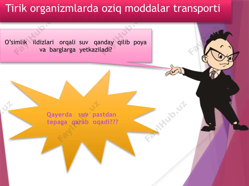 tirik organizmlarda oziq moddalar transporti - Page 4