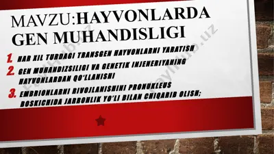 hayvonlarda gen muhandisligi — PPTX
