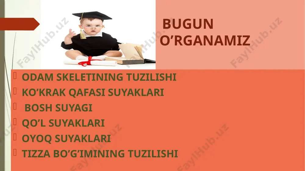 bezlar va ular ishlab chiqaradigan gormonlarni juftlab yozish - Page 3