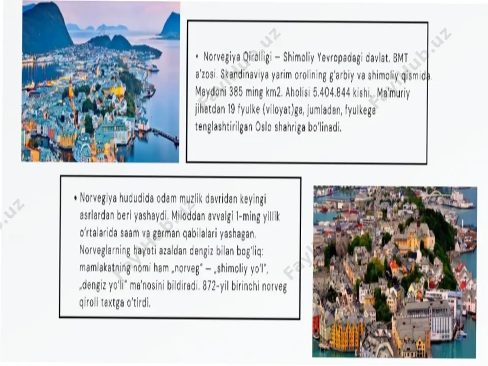 norvegiyada ijtimoiy siyosat - Page 4