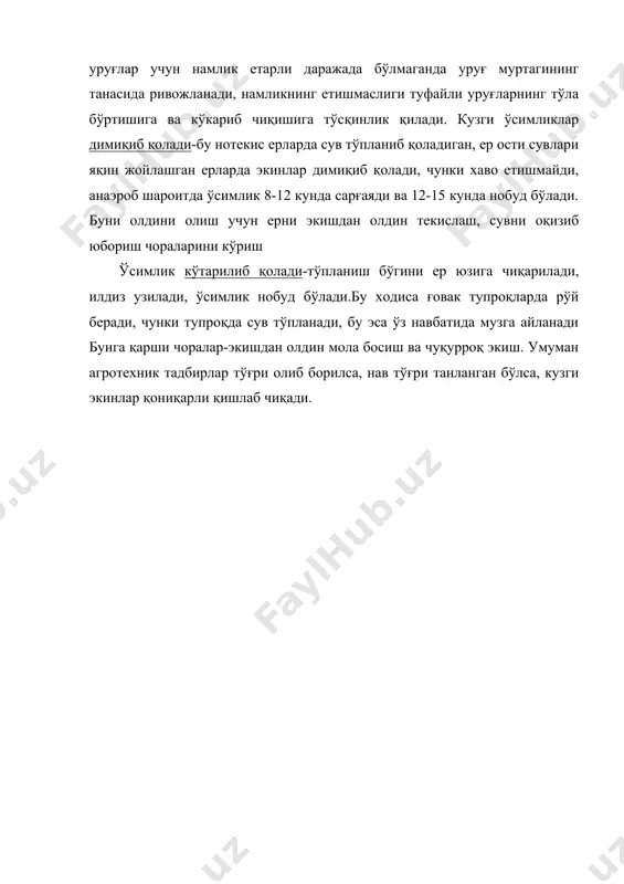 кузги дон экинлари - Page 3