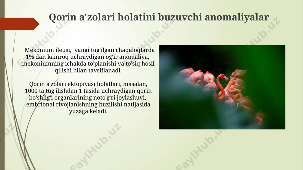 ona qornida rivojlanish patalogiyasi - Page 5