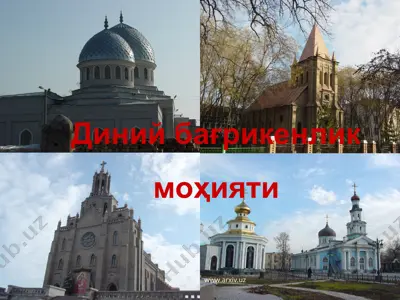 диний бағрикенлик моҳияти — PPT