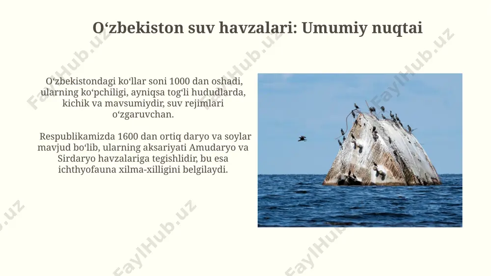 o'zbekistonning suv havzalari va ularning ixtiofaunasi - Page 3