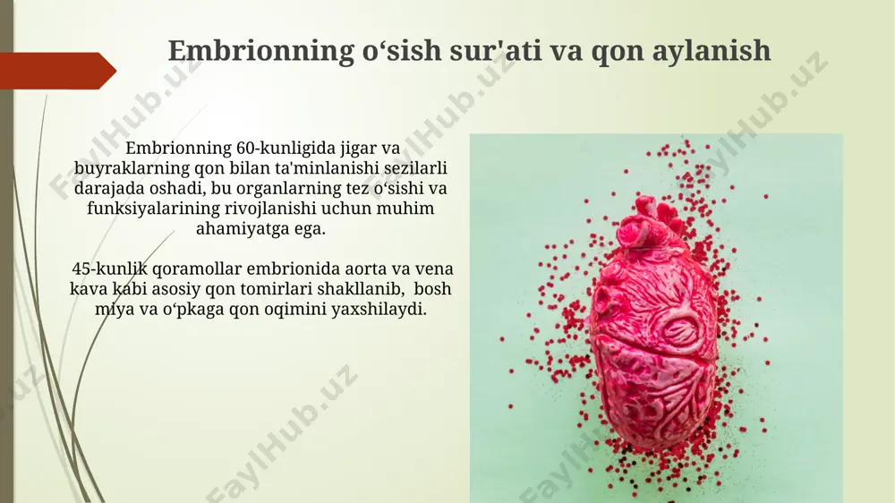boʻladi. e'tiboringiz uchun rahmat @taqdimot_robot image1.jpg image2.jpg image3.jpg image4.jpg image5.jpg image6.jpg image7.jpg image8.jpg image9.jpg image10.jpg image11.jpg image12.jpg image13.jpg image14.jpg image15.jpg image16.jpg image17.jpg