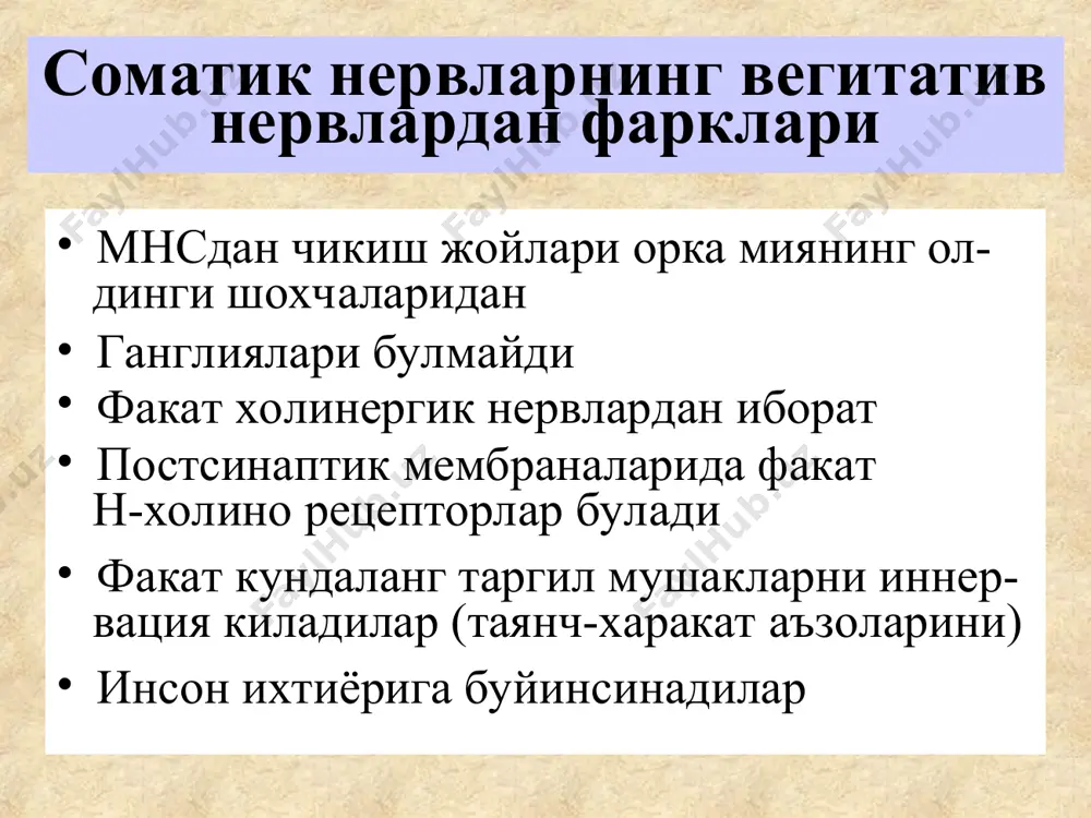 қўзиқорин-мухамортаркибидаги алкалоид-мускарин бу гуруҳ моддаларнинг энг асосий намоёндаси ҳисобланади. лекин мускарин дори воситаси сифатида қўлланилмайди. тиббиётда м-холиномиметиклардан пилокарпин ва ацеклидин қўлланилади. пилокарпин (pilocarpinihydrocloridum). жанубийамерикадаўсадиган тропик ўсимлик pilocarpuspianatifolusjaborandiнинг баргидан олинадиган алкалоид. синтез йўли билан ҳам олинган. пилокарпин м-холинорецепторларни бевосита қўзғатиб, парасимпатик нерв системасини қўзғатилганда юзага чиқувчи ўзгаришлар чақиради. пилокарпин, айниқса, безларнинг секрециясини кучайтиради (сўлак, тер). амалиёт жиҳатдан пилокарпиннинг кўзга таъсири аҳамиятга эга (қорачиғни торайтиради, кўз босимини пасайтиради, аккомодация спазмини чақиради). пилокарпинни эритма ёки суртма сифатида глаукомани даволашда ишлатилади. бошқа кўрсатмалар бўйича заҳарлилиги юқори бўлганлигидан ишлатилмайди. ацеклидин(aceclidium)-синтетик препарат бўлиб, уни маҳаллий ва резорбтив таъсиридан фойдаланилади. яъни глаукомани даволашда (коньюктивани таъсирлантириши мумкин) ва мит аъзолар, пешоб пуфаги, бачадон атониясида ишлатилади. м-холиномиметиклар билан заҳарланганда м-холинолитиклар (атропин гуруҳи)ни қўллаш керак. м-холинорецепторларни қамалловчи воситалар (м-холиноблокаторлар) бу гуруҳмоддалари асосан периферик м-холинорецептор-ларни блоклайдилар (яъни парасимпатик нерв охиридаги нейроэффектор синапсларнинг постсинаптик мембраналарида жойлашган холинорецепторларни) ва ахни улар билан бирикишига тўсқинлик қилади. бу гуруҳ дорилари ах ни синтези, парчаланиши, ажралиб …