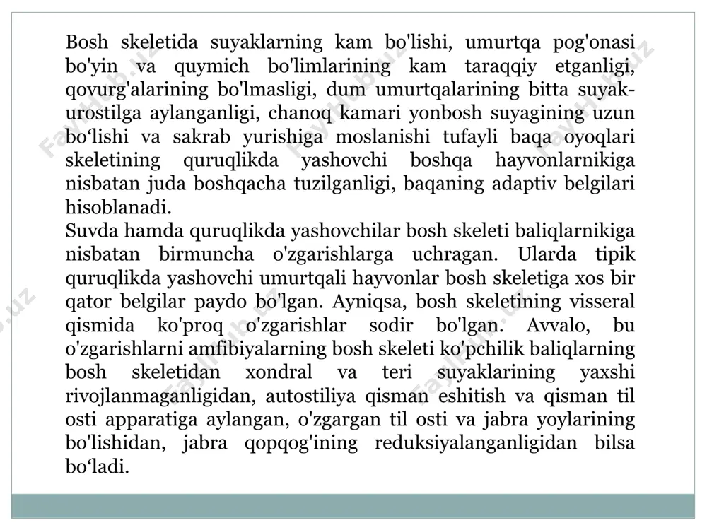 gi pastki chakka yoy deb ataladigan suyak ko'prikchani hosil qiladi. pastki jag', asosan mekkel tog'ayidan iborat. uning uchi tanglay-kvadrat tog'ayining keyingi uchla-riga birikadi. oldingi uchi esa suyakka aylanib, o'z jufti bilan birikib ketadigan kichkina iyak-jag' suyagini hosil qiladi. mekkel tog'ayining asosiy qismi burchak suyak deb ataladigan uzun qoplag'ich suyak bilan (bu suyakdan yuqoriga qarab toj o'simta chiqadi), oldingi qismi esa tish suyagi bilan qoplangan. jabra yoylari baqaning lichinkasi - itbaliqlarda to'rtta jabra yoylari bo'lib, voyaga yetgan baqalarda ular til osti skeletini va hiqildoq tarki-bidagi tog'aylarni hosil qilsa kerak til osti skeleti apparati tog'aydan tuzilgan toq plastinkadan iborat bo'lib, undan ikki juft asosiy o'simta chiqadi. shu o'simtalarning oldingisi tog'aydan hosil bo'lgan va gioidlarga gomologdir. ular oldingi shoxchalar deb ataladi. oldingi shoxchalar orqaga yo'naladi, so'ngra yuqoriga ko'tariladida, halqumni yon tomondan o'rab olib, eshituv kapsulalarining devorlariga birikadi. orqa o'simtalar shoxchasi bir juft uzunchoq suyakdan iborat bo'lib, til osti plastinkasidan orqaga yo'nalgan. ensa bo'limining …