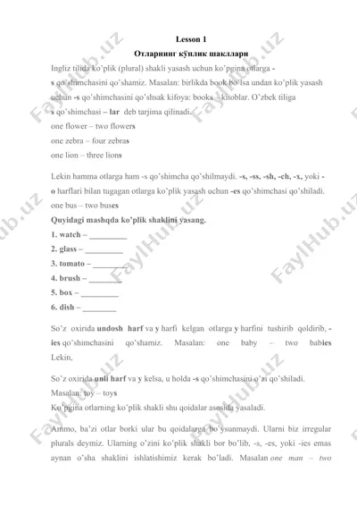 plurals in english — DOCX