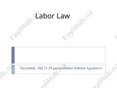 labor law — PPTX