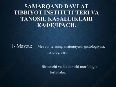 meyyor teri anatomiyasi — PPT