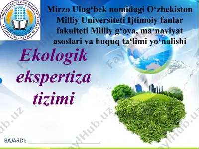ekologik ekspertiza tizimi — PPTX