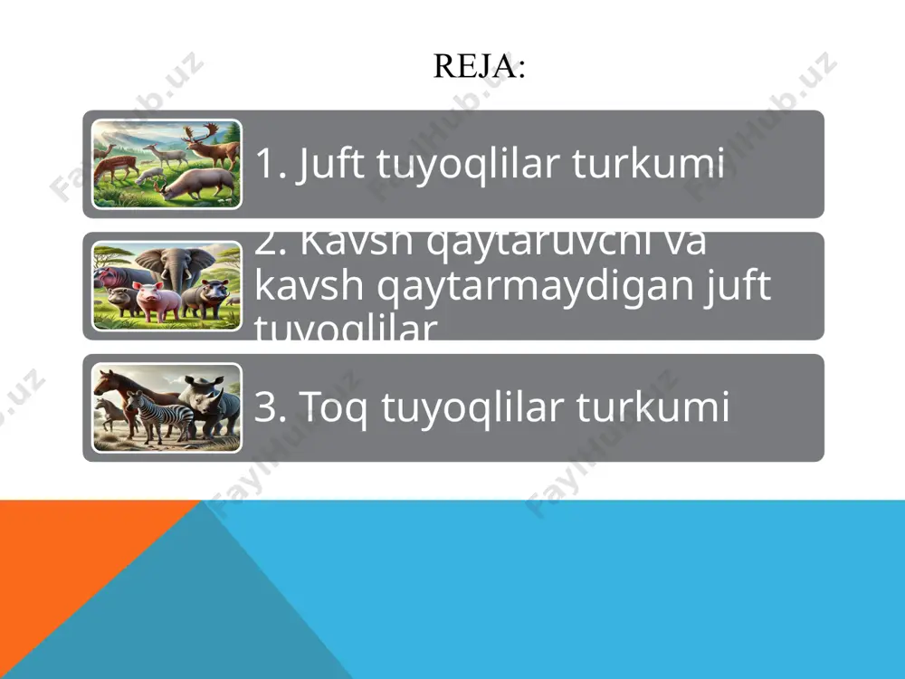 rda va to‘qaylarda uchraydi. o‘simlik ildizi va tugunaklarini kovlab olib yeydi; to‘kilgan mevalar, hatto hasharotlar va boshqa mayda jonivorlar bilan ham oziqlanadi. to‘ng‘iz to‘da bo‘lib yashaydi. uning bolasi yo‘l-yo‘l tusda. to‘ng‘iz xonaki cho‘chqalar naslboshisi hisoblanadi. begemot (hippopotamus) 1. yirik yarim suv hayvoni – begemotlar asosan afrikada yashaydi va ko‘p vaqtini suvda o‘tkazadi. 2. og‘irligi katta – voyaga yetgan begemotning vazni 1,5–4 tonnagacha yetishi mumkin. 3. suvda tez harakatlanadi – ular suv ostida yurish kabi harakat qiladi va qisqa vaqtga sho‘ng‘ishi mumkin. 4. terisi quyoshdan himoyalangan – begemot terisi maxsus qizg‘ish suyuqlik chiqaradi, bu uni quyosh nurlaridan himoya qiladi. 5. o‘ta tajovuzkor – begemotlar hududlarini qattiq himoya qiladi va afrikadagi eng xavfli hayvonlardan biri hisoblanadi. 6. vegetarian – ular asosan o‘t-o‘lanlar bilan oziqlanadi, garchi ba’zan go‘sht ham iste’mol qilgani kuzatilgan. 7. tunda oziqlanadi – kun davomida suvda bo‘lib, kechasi qirg‘oqqa chiqib o‘t yeydi. 8. suv ostida nafas olmayoq 5 daqiqagacha qolishi …